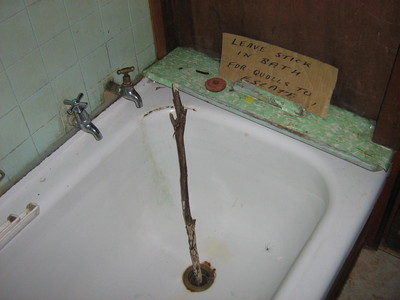 Bathtub