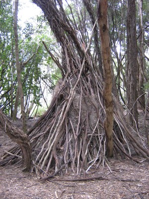 Stick Hut