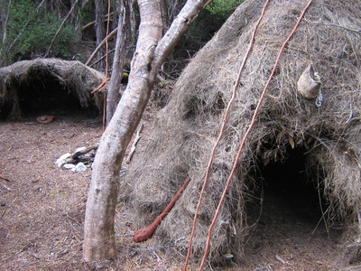 Thatch Hut